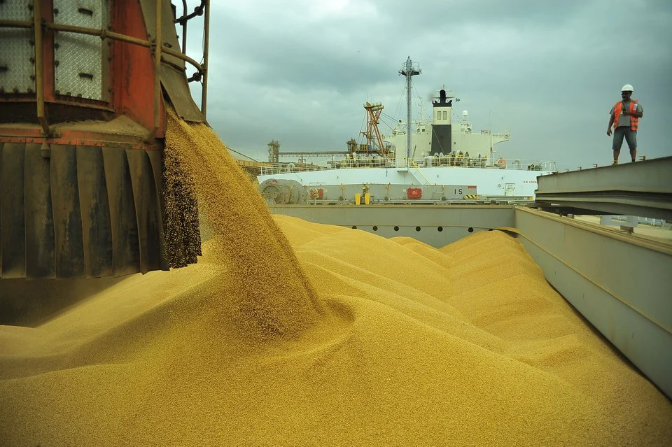 Santos Grain