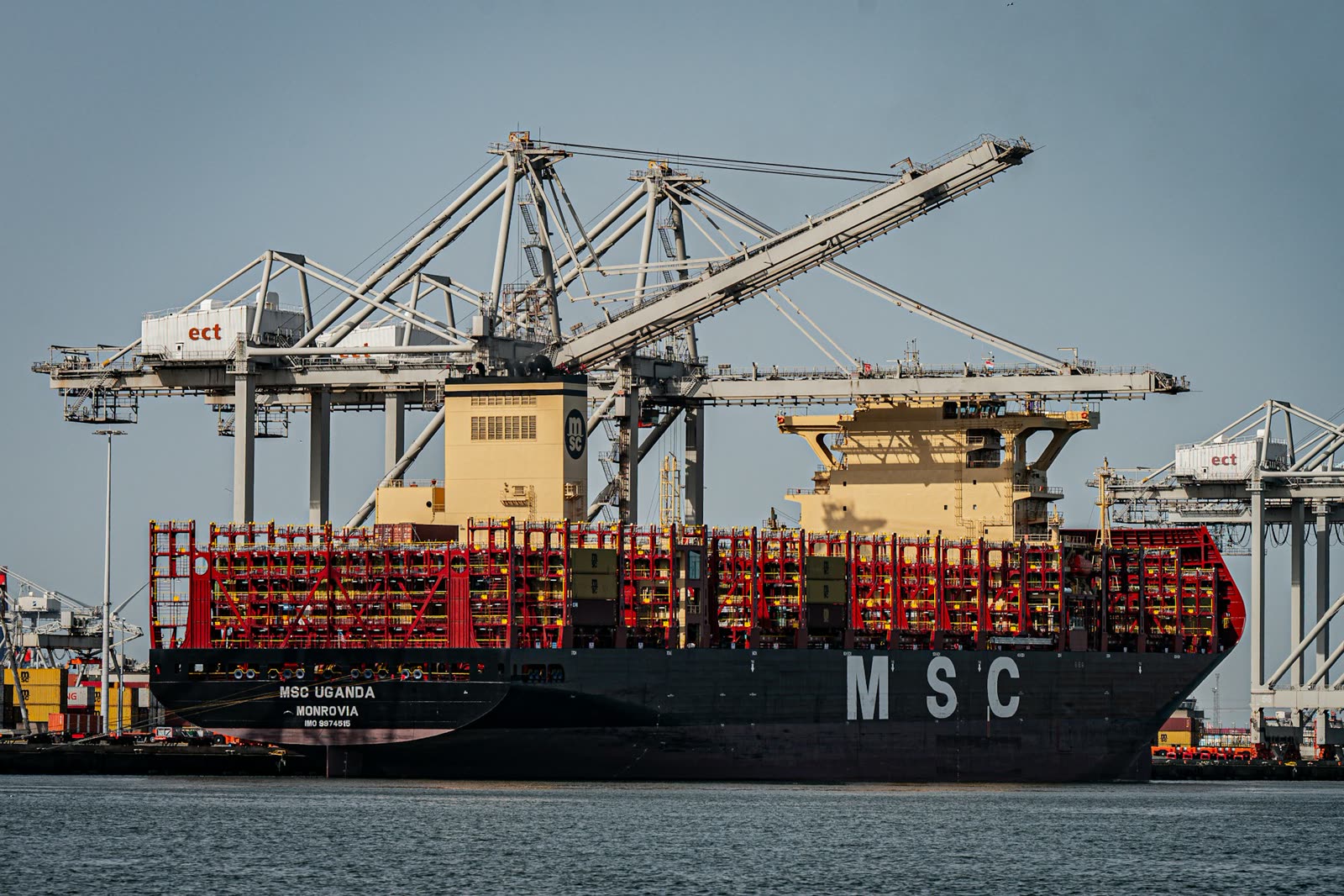 A large container vessel with MSC on its hull alongside a terminal, under grey quay cranes.