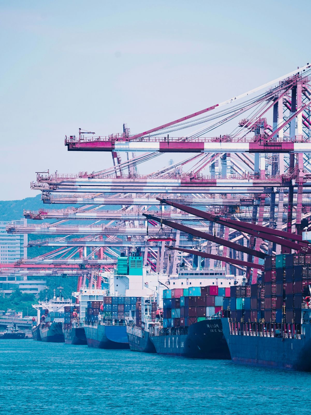Port Congestion
